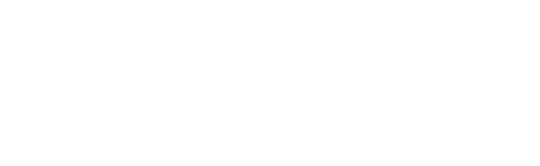 CogniSi